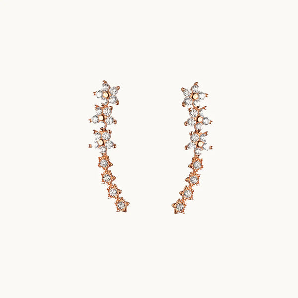 Boucle d'oreille grimpante fleurs étoiles strass - Femme - Argent 925